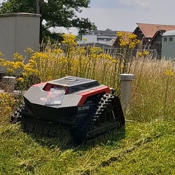 Mähraupe